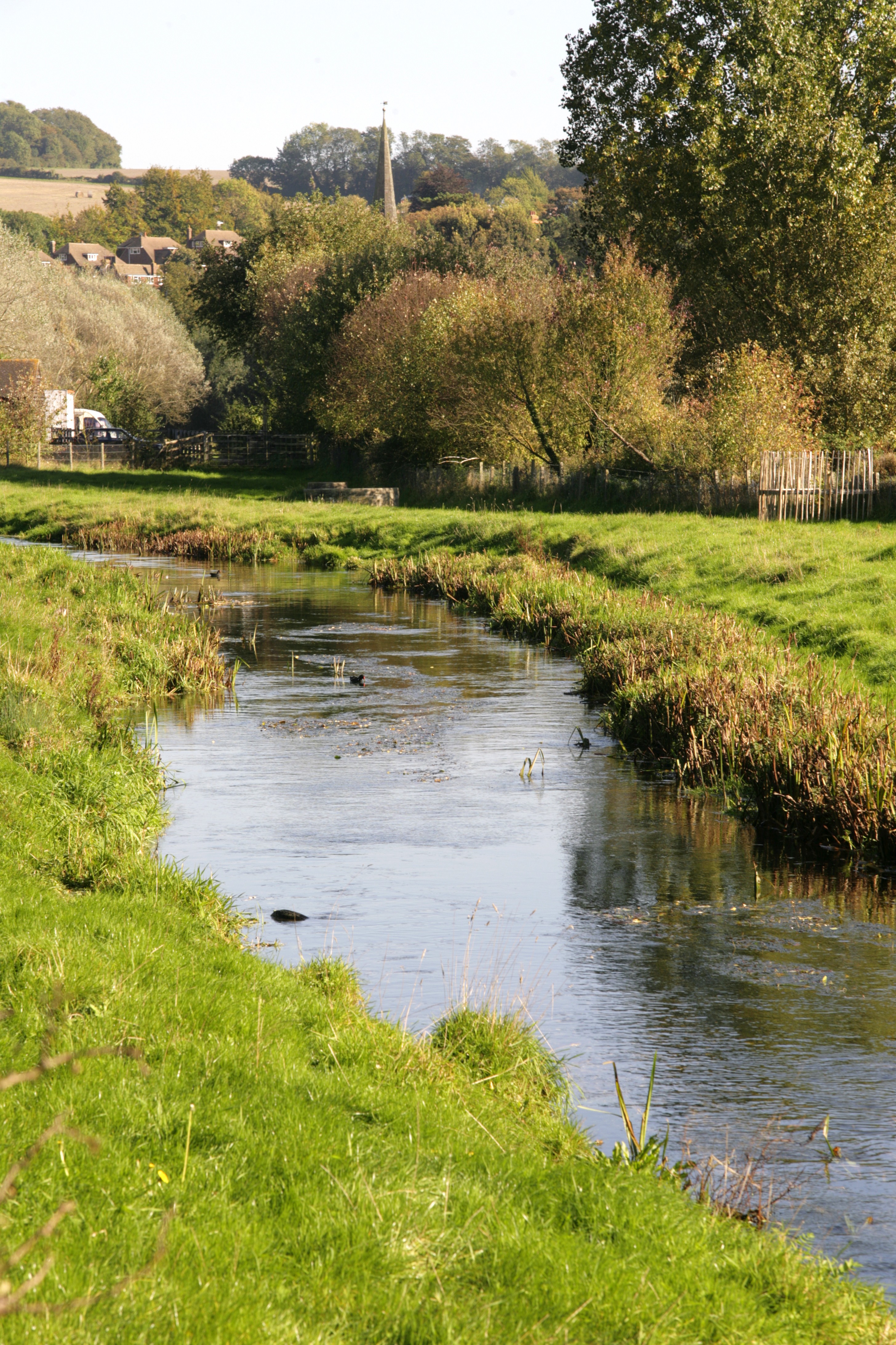 Natural River Darent (credit Explore Kent).jpg