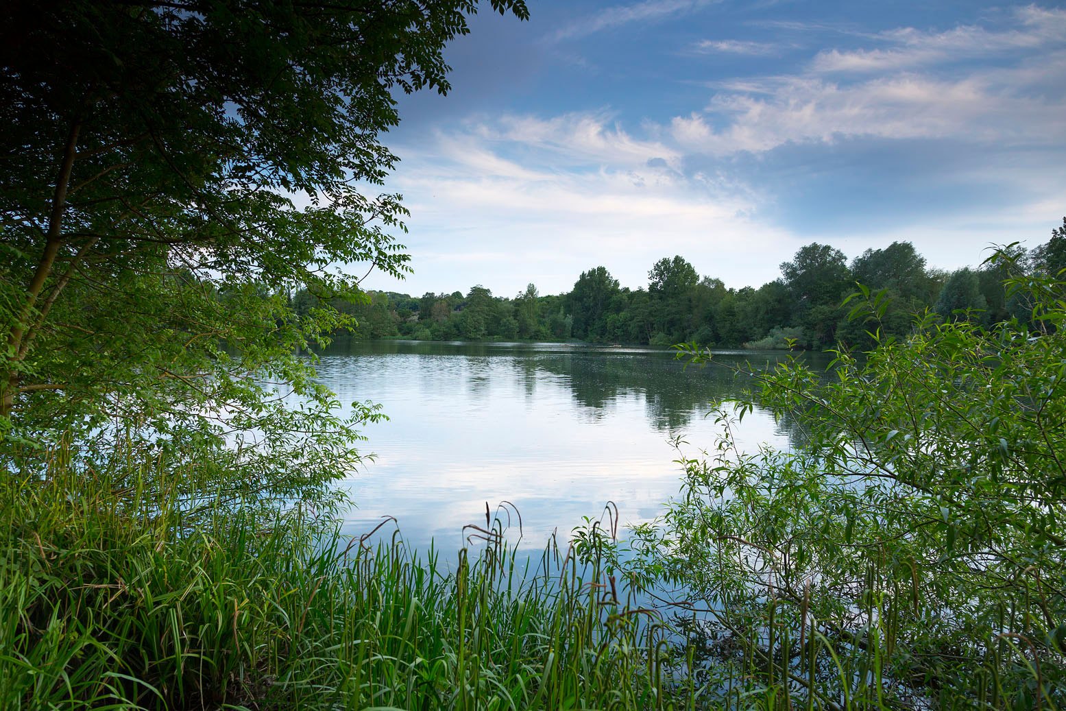 Birds and Bugs at Sevenoaks Wildlife Reserve